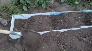 Как правильно посадить малину Сажаем малину по новому. Малина не разрастается!