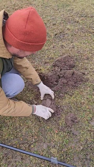 Царская монета. Металлоискатель Minelab Equinox 600 и XP ORX #metaldet