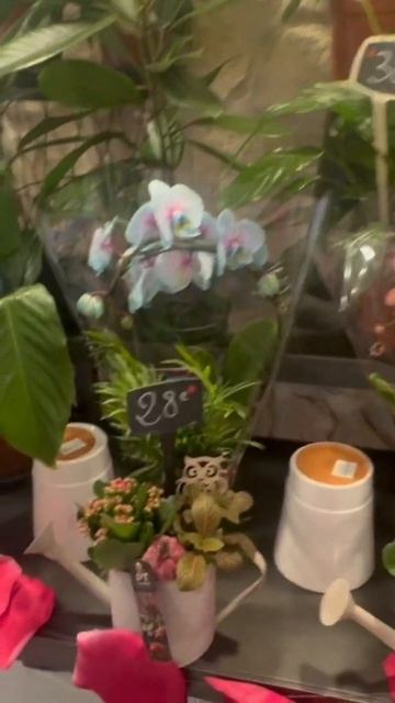 Какие цены в бутике  цветов   ! Орхидея ❣️