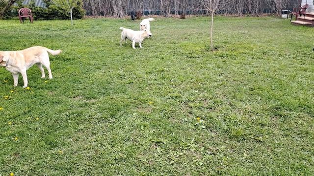 У нас весело смотреть онлайн