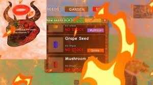 МАНГО ТРОЛФЕЙС