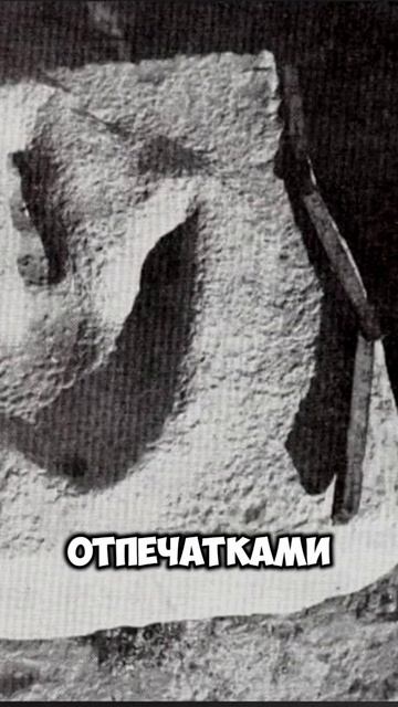 12 миллионов лет назад смотреть онлайн