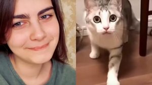 кот-поставь молоко сюда