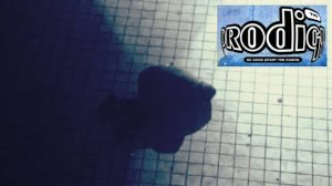 The Prodigy - No Good (Start The Dance)