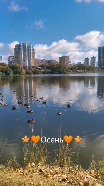Заметки архитектора. Екб 2024. Любить то, что есть. Там, г? смотреть онлайн
