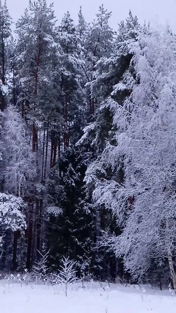 Русская зима #sorts смотреть онлайн