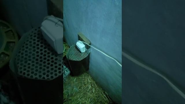 Чем отапливаем небольшой курятник зимой. смотреть онлайн