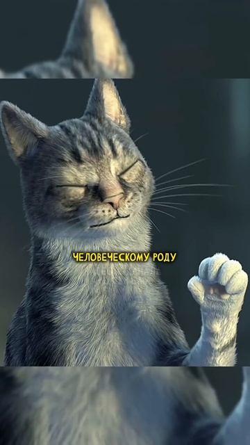 Сериал: Любовь, смерть и роботы🔥 смотреть онлайн