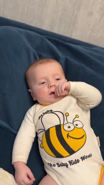 Мама меня опять кормит каждые 3 часа. Очень люблю свою ? смотреть онлайн