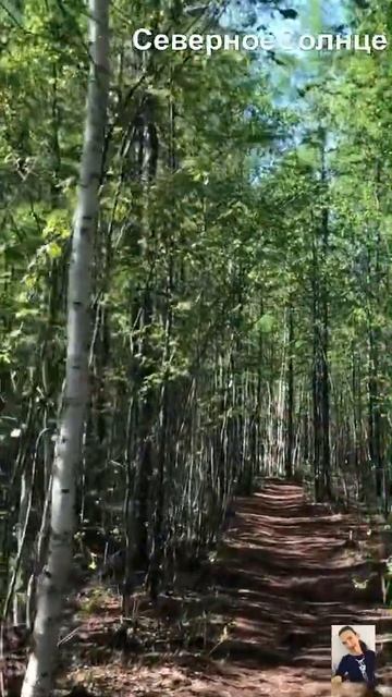 ЛЕТО В ЯКУТИИ МИРНЫЙ ИЮНЬ смотреть онлайн