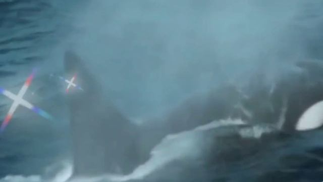 Красивая Турецкая песня,Seviyurom смотреть онлайн