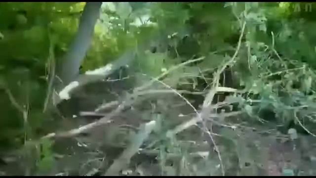 ЛУЧШИЕ РУССКИЕ ПРИКОЛЫ 2018 АВГУСТ Подборка новых русских приколов смотреть онлайн