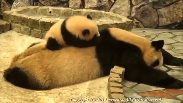Мама ну вставай уже ,я есть хочу Well mom get up already, I'm hungry смотреть онлайн