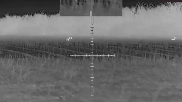 Выстрел по косуле с тепловизионным прицелом Arkon Alfa HT50 смотреть онлайн