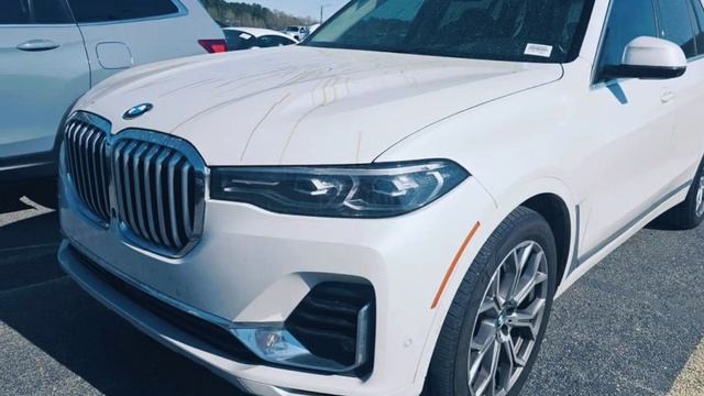 petal_20250509_224429.mp4