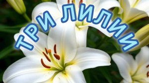 ПОТРЯСАЮЩАЯ ПЕСНЯ НАШЕЙ ЮНОСТИ.