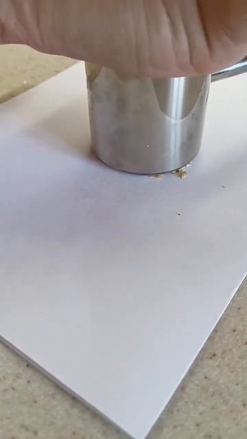 Проводим опыты 🧪 на обнаружение жира в семенах 🙂🤫? смотреть онлайн