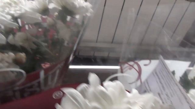 Цветуёчки. Восьмое марта // Дети Алоэ смотреть онлайн