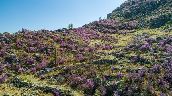 Весна в Горном Алтае