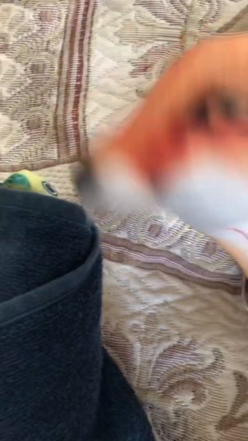 Субтитры,потому что тут на украинском)🎬 #шлёпа #юмор #? смотреть онлайн