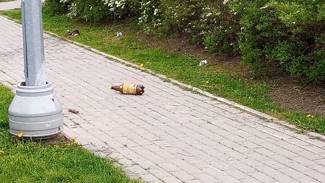 самодельная граната 1 (не настоящая)