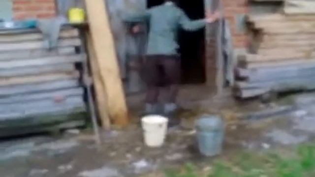 Молодец мужик! Сам пьяная скотина, а о скотине не забывает! Ржач!!! смотреть онлайн