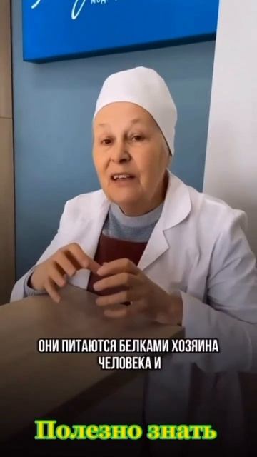 Аллергия и паразиты #здоровье #алоэвера #паразиты #пар? смотреть онлайн