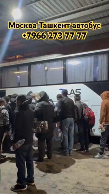 Москва Ташкент автобус Санкт-Петербург Ташкент автоб? смотреть онлайн