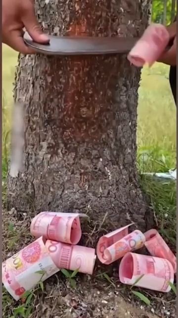 Пополнение бюджета #беларусь #деньги смотреть онлайн