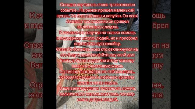 Мир держится на добрых людях. И пока есть добро, мы буд? смотреть онлайн