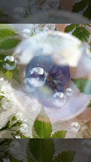 Брошь из цветка анютиных глазок. A real pansy flower brooch. смотреть онлайн