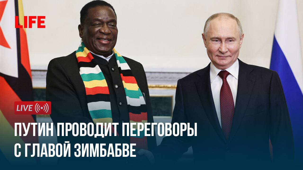 Путин проводит переговоры с главой Зимбабве смотреть онлайн