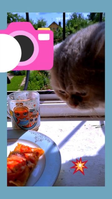 ПОЧЕМУ НЕЛЬЗЯ ЕСТЬ ПИЦЦУ⁉️⁉️⁉️ смотреть онлайн