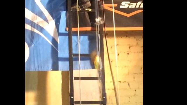 Asap Petzl со стропом 50 см смотреть онлайн