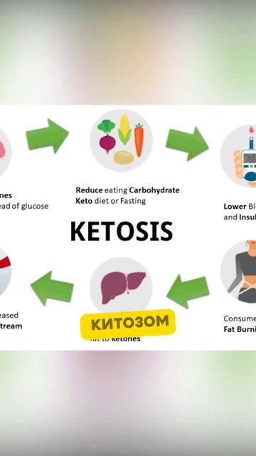 Если долго не будете есть еду. Факты😲 #shorts смотреть онлайн