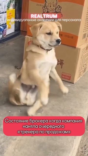 Состояние брокера, когда компания наняла очередного « смотреть онлайн