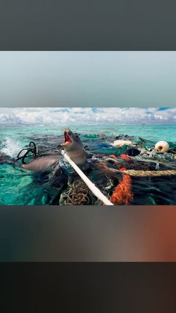 «Бережіть Землю» Бузина Т. Серем А. 8-А смотреть онлайн