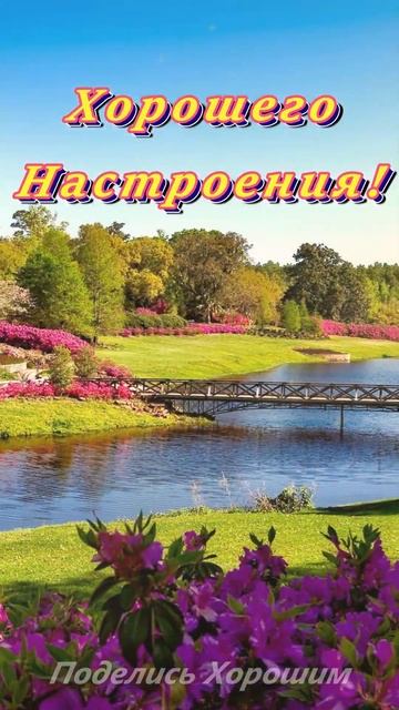 Новое, Доброе Утро! смотреть онлайн