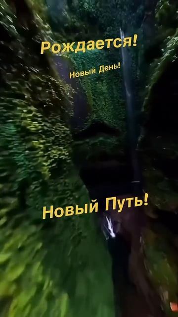 Доброе утро! Начните! Новый День с улыбки!!! 👍😁😉 смотреть онлайн