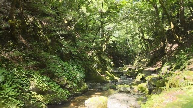 Тибетская лечебная флейта помогает снизить стресс. Ежедневные мелодии для внутреннего спокойствия # смотреть онлайн