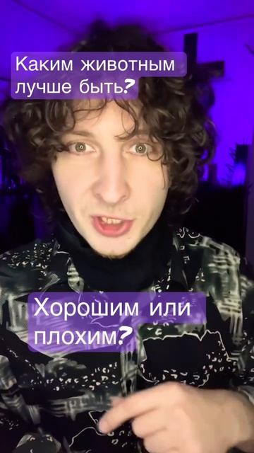 Каким животным лучше быть? #животное #хорошее #плохое #? смотреть онлайн