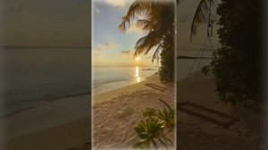 Горящие Туры в Египет курорты Эль-Аламейн и Мерса-Матр