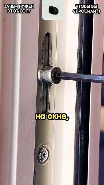 Парень настроил окна на зимний режим за минуты ❄️ смотреть онлайн