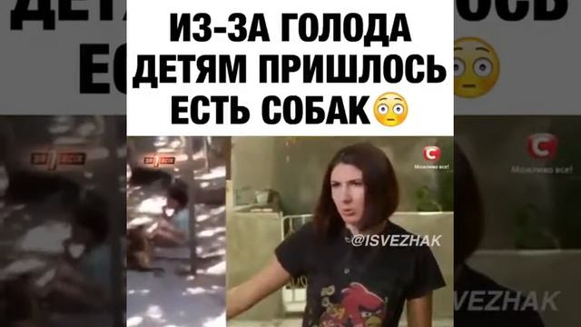Дети едят собак из-за голода! смотреть онлайн