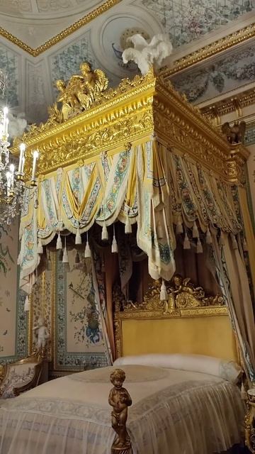 Парадные залы Петербургских дворцов #izparadnoy #экскурсия смотреть онлайн