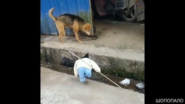 Гопник ставит на место братву. ( Прикол) смотреть онлайн