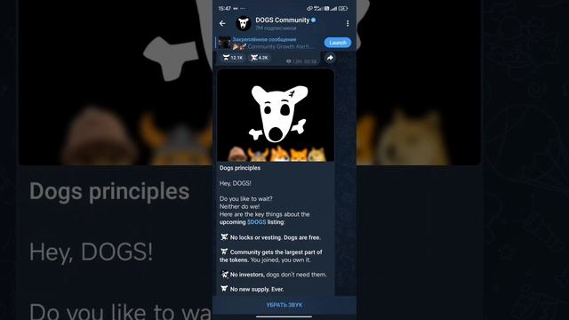 СРОЧНО❗СВЕЖИЕ НОВОСТИ DOGS! DOGS - РАЗДАСТ ДЕНЕГ БОЛЬШЕ ВС