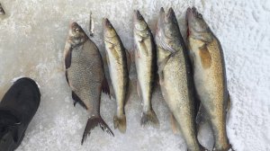 Секретный ингредиент копчения