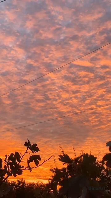 Вот это сюрприз! Природа - лучший художник :) #shorts #крым #nature #природа