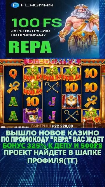 без денег с бонуски не уйду #shorts #flagman #irwin #ирвин #gizbo #ги? смотреть онлайн